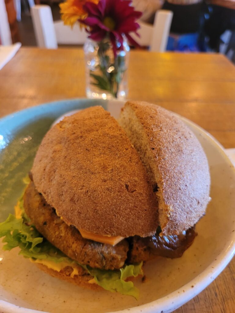 Hamburguer Org Bistro