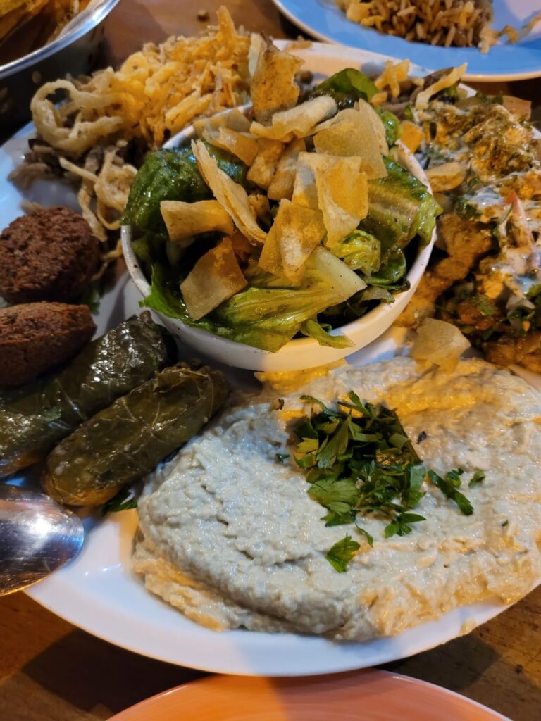 Vegetariano Amir com Baba Ganoush