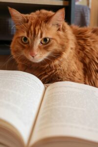 Charming orange tabby cat curiously looking at an open book indoors.