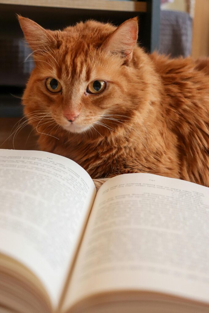 Charming orange tabby cat curiously looking at an open book indoors.